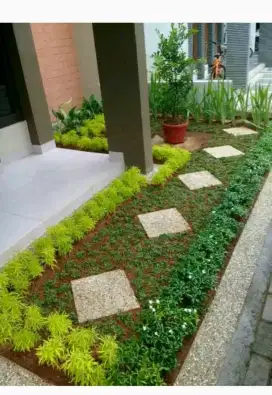 Tukang rumput _Tukang taman Jual rumput pohon