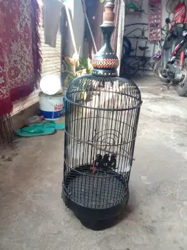 Kurungan burung