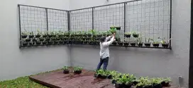 Tukang pembuatan taman dinding atau varticl garden dan perawatan