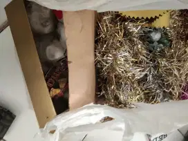 bola bola pajangan untuk pohon natal
