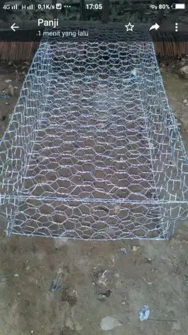 Kawat bronjong galvanis