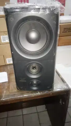 PIONEER S-J510V