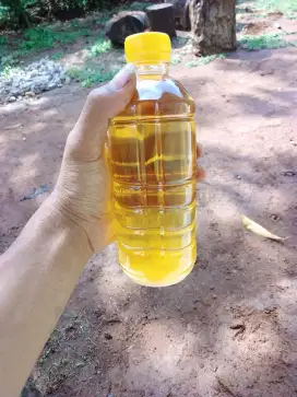MINYAK BIAWAK 500MILI 100% ORIGINAL - MINYAK BIAWAK OBAT GATAL