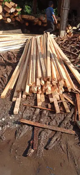 Dijual Kayu  lokal langsung dari pemotongan