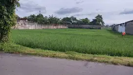 Dijual Sawah di tepi jalan raya