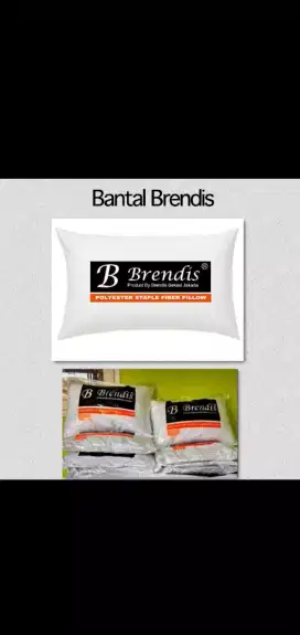 Bantal brendis 67cm X 45cm