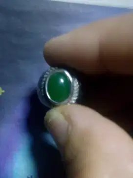 BACAN NIH BACAN ASLI ( GRATIS MOTOR SMES )