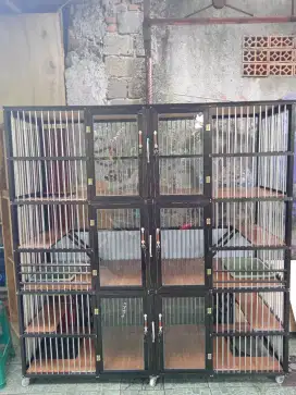 Apartemen kucing murah berkualitas