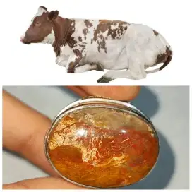 Cincin Batu Akik Gambar Kerbau/ Sapi Asli Natural Jumbo