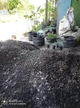 Tanah pupuk penyubur semua tanaman