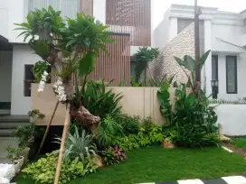 Jasa pembuatan taman dan perawatan taman