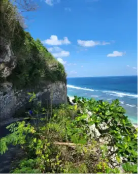 Tanah pinggir pantai melasti ungasan