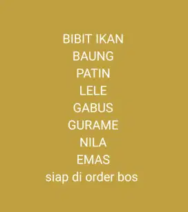 Bibit ikan gurame patin dll unggul budidaya pembesaran