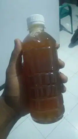 Madu Klanceng Asli