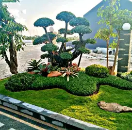 Taman minimalis