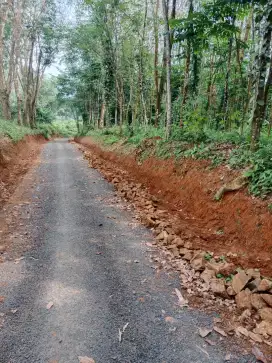 Jual tanah kebunan karet dan lahan untuk perkebunan buah2an
