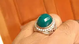 Bacan bluish lawas