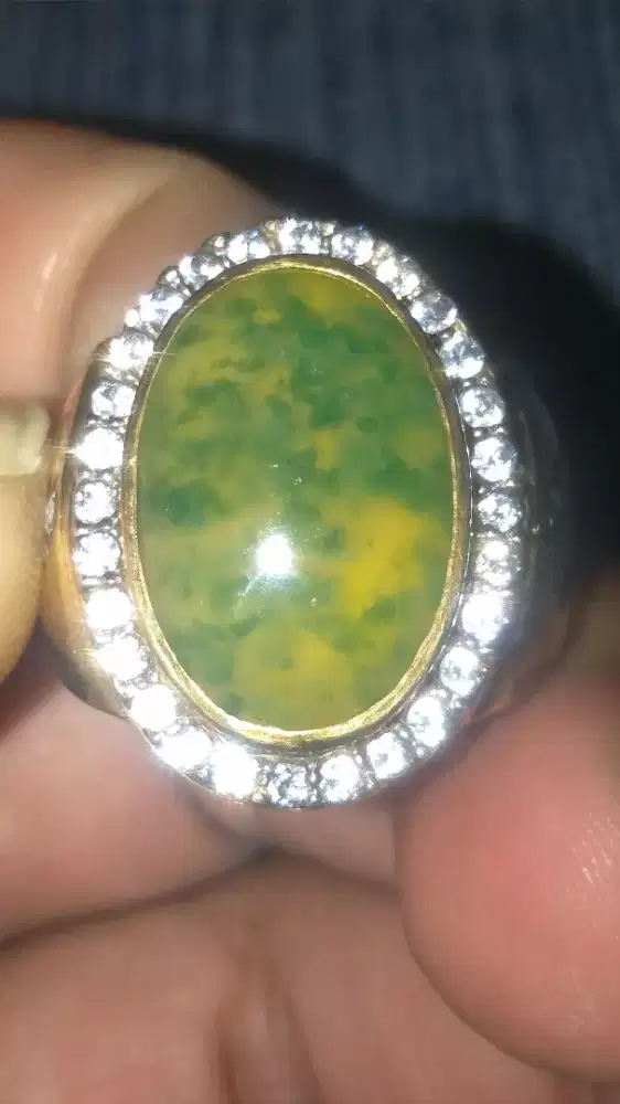 Idocrase Sungai dareh kumbang jati totol sayur