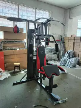 HOME GYM NEW /3 SISI SPEED BALL