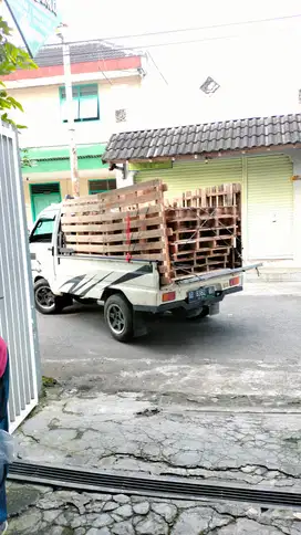 palet kayu kuat