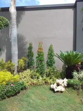 jasa tukang taman