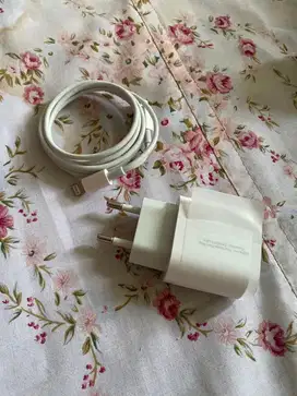 Chasan Carger Iphone 12 Pro 20watt Ori copotan