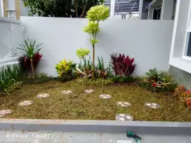 Tukang taman minimalis