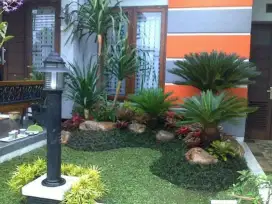 Tukang rumput Cibubur/tukang taman Cibubur