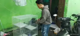 Kandang kucing tingkat