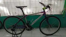 Sepeda gunung MTB bike tokai jepang clasic. Siap pakai.