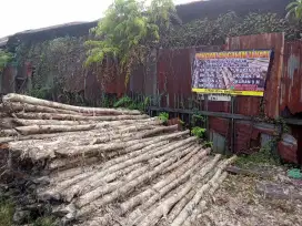 Jual kayu galam