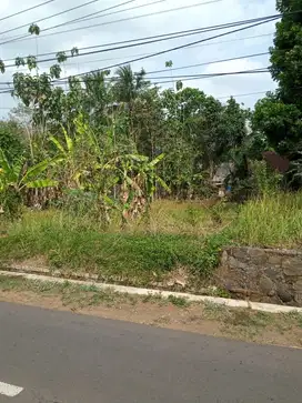 Dijual tanah luas pinggir jalan