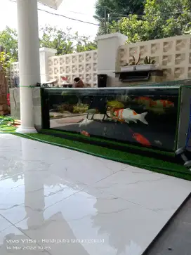 Kolam dan filter koi/tukang kolam