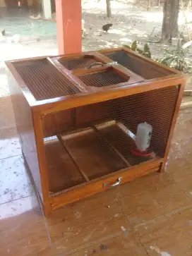 kandang doq doc anak ayam