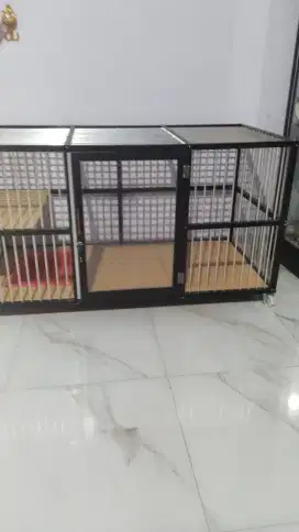 Kandang Kucing peaknose