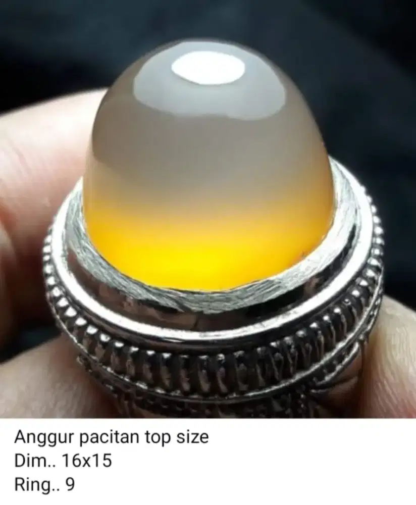 Batu Akik Anggur Pacitan Unik Mpo Cika