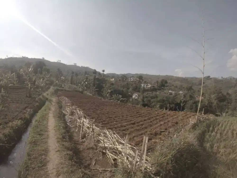 Tanah Murah di Padasuka Atas, Citapen, Cimenyan. view bagus bgt.