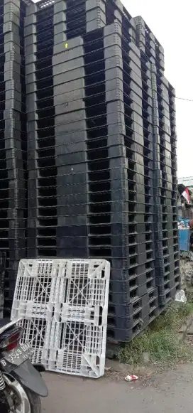 Palet plastik standar
