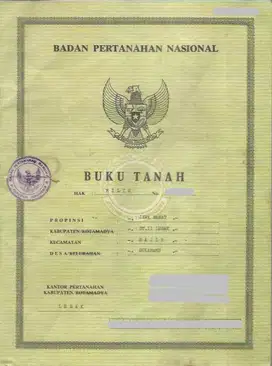 DIJUAL Tanah SHM Tanpa Perantara 4000 m2 Sajira Lebak
