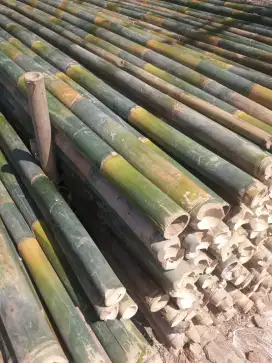 Bambu mandiri jaya