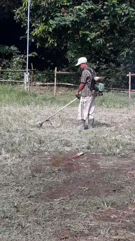 Jasa potong rumput
