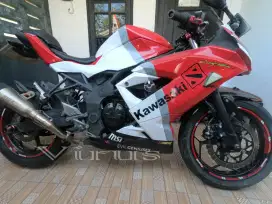 Kawasaki Ninja 250 mono