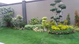 tukang taman terdekat