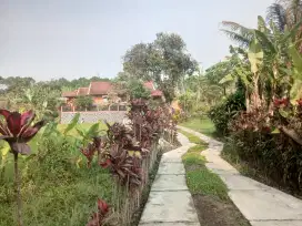 Rumah dan tanah