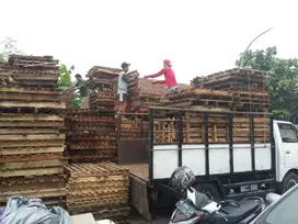 palet bekas keramik