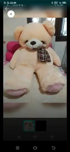 Teddy Bear Istana Boneka