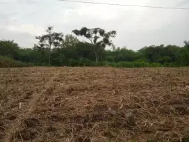 Dijual tanah pinggir jln utama