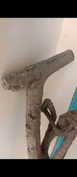 Tongkat kayu Tlogosari