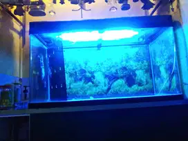 OBRAL Dijual Aquarium Import sisi oval