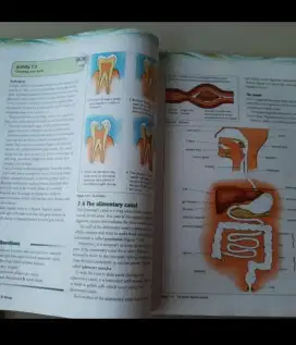 buku CAMBRIDGE IGCSE Biology Chemistry Physics. GRATIS WORKBOOK